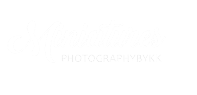 Miniatures by KKStudio — Bangkok newborn & maternity photography
